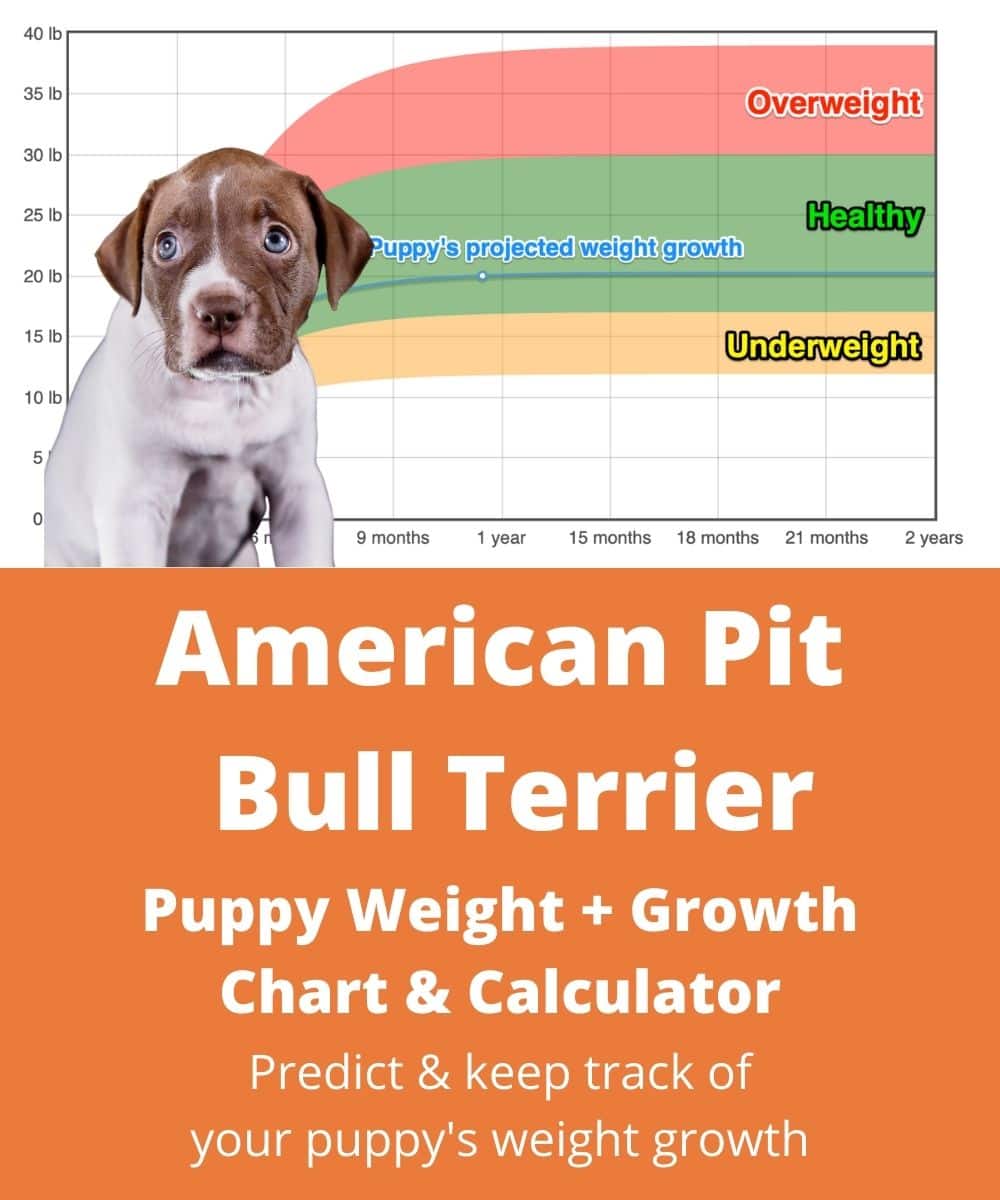american-pit-bull-terrier Puppy Weight Growth Chart